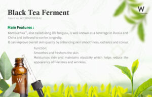 Read more about the article Black Tea Ferment