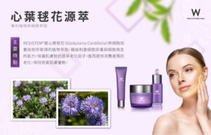 Read more about the article 心葉毬花