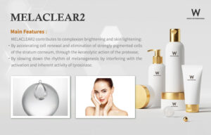 Read more about the article MELACLEAR2